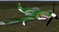 P-39 Green!